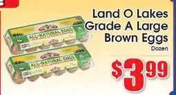 Supremo Foods Inc Land O Lakes Grade A Large Brown Eggs offer