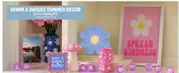 Dollar General DENIM & DAISIES SUMMER DECOR offer
