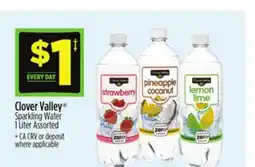 Dollar General Clover Valley Sparkling Water offer