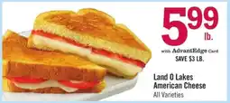 Price Chopper Land O Lakes American Cheese offer