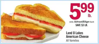 Price Chopper Land O Lakes American Cheese offer