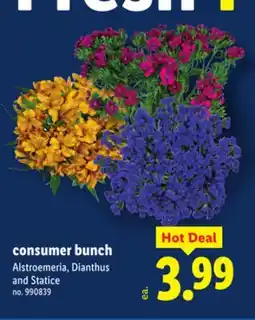 Lidl consumer bunch offer