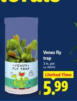 Lidl Venus fly trap offer