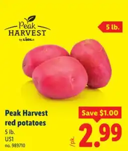 Lidl Peak Harvest red potatoes offer