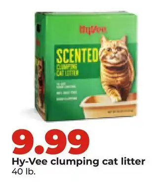 Hy-Vee Hy-Vee clumping cat litter offer