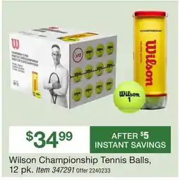 BJ’s Wilson Championship Tennis Balls, 12 pk offer