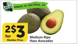 Vons Medium Ripe Hass Avocados offer