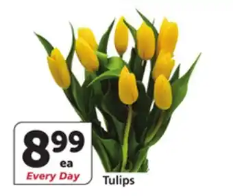 Vons Tulips offer
