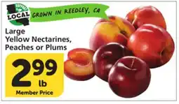 Vons Large Yellow Nectarines, Peaches or Plums offer