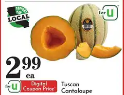 Pavilions Tuscan Cantaloupe offer