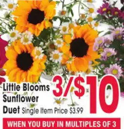 Jewel-Osco Little Blooms Sunflower Duet offer