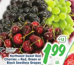 Jewel-Osco Northwest Sweet Red Cherries or Red, Green or Black Seedless Grapes offer