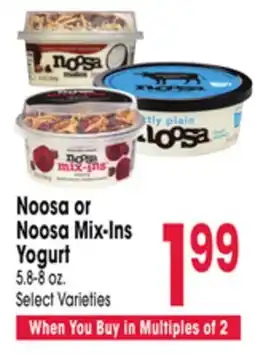 Jewel-Osco Noosa or Noosa Mix-Ins Yogurt offer