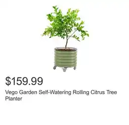 Costco Vego Garden Self-Watering Rolling Citrus Tree Planter offer