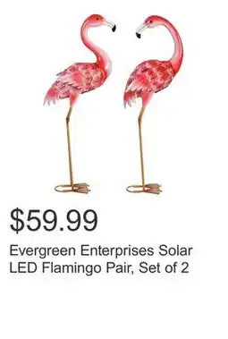 Costco Evergreen Enterprises Solar LED Flamingo Pair, Set of 2 offer