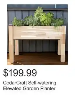 Costco CedarCraft Self-watering Elevated Garden Planter offer