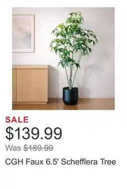 Costco CGH Faux 6.5' Schefflera Tree offer