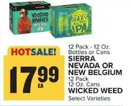 Food Lion Sierra Nevada or New Belgium offer