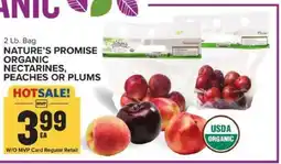 Food Lion Nature's Promise Organic Nectarines, Peaches or Plums offer