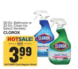 Food Lion Clorox Bathroom or Clean-Up offer