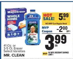 Food Lion Mr. Clean offer