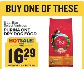 Food Lion Purina ONE Dry Dog Food offer