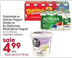 Giant Eagle Danimals or Activia Yogurt Drinks or So Delicious Multi Serve Yogurt offer