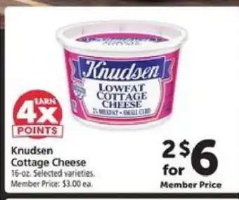 Safeway Knudsen Cottage Cheese offer