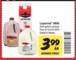 Safeway Lucerne Milk offer