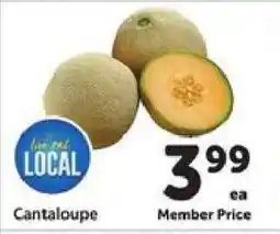 Safeway Cantaloupe offer