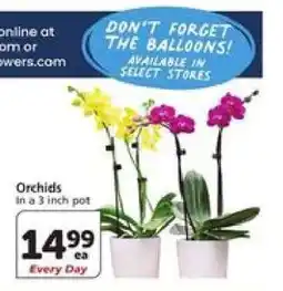 Albertsons ORCHIDS offer