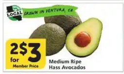 Albertsons Medium Ripe Hass Avocados offer