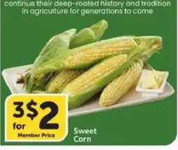 Albertsons Sweet Corn offer