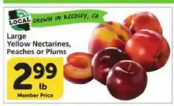 Albertsons Large Yellow Nectarines, Peaches or Plums offer