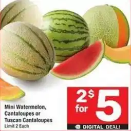 Albertsons Mini Watermelon, Cantaloupes or Tuscan Cantaloupes offer