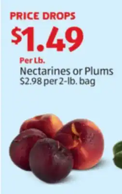 Aldi Nectarines or Plums offer