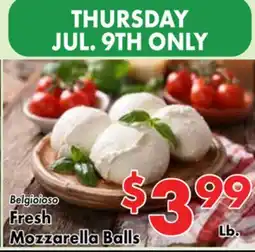 Valley Marketplace Fresh Mozzarella Balls offer