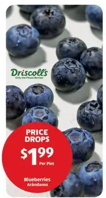 Aldi Driscoll's Blueberries offer