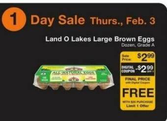 Fairway Store Market Land O Lakes Large Brown Eggs offer