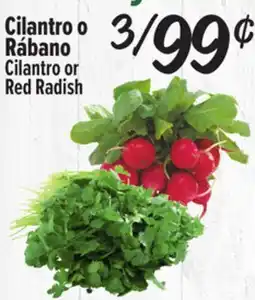 El Super Cilantro or Red Radish offer