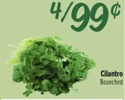 El Super Cilantro offer