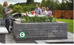 Menards Planter offer