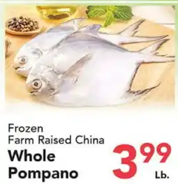 Eurofresh Market Frozen Farm Raised China Whole Pompano offer