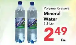 Eurofresh Market Polyana Kvasova Mineral Water offer