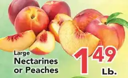 Eurofresh Market Large Nectarines or Peaches offer