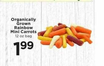 SHOPPERS Organically Grown Rainbow Mini Carrots offer