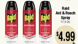 Big Saver Foods Raid Ant & Roach Spray offer