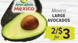 Cermak Fresh Market MEXICO LARGE AVOCADOS offer