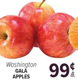 Cermak Fresh Market Washington GALA APPLES offer