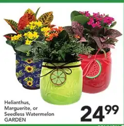 Pete's Fresh Market Helianthus, Marguerite, or Seedless Watermelon GARDEN offer